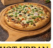 Hot Urban Chicken