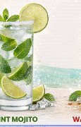 Mint Mojito